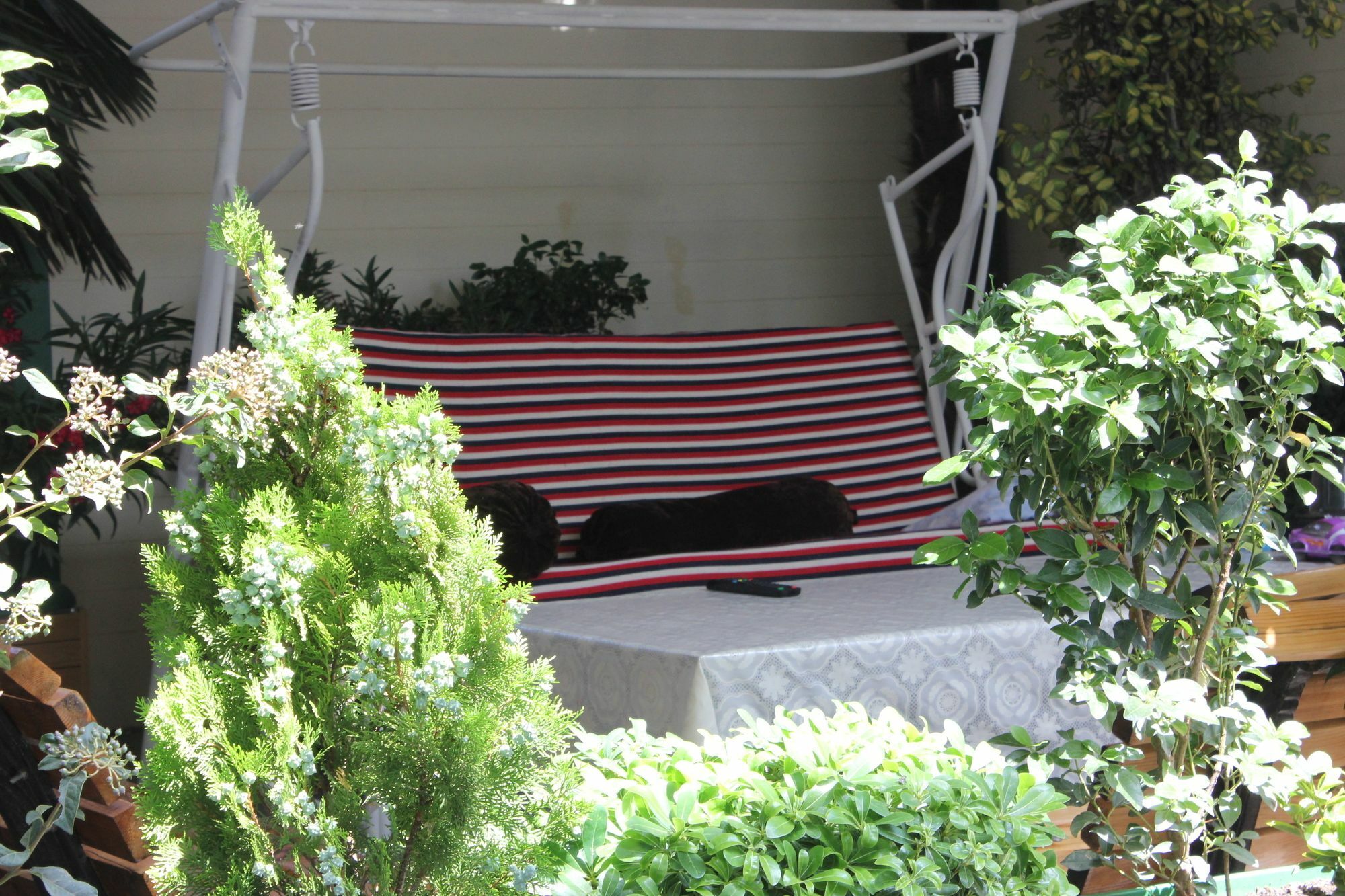 Vedzisi Garden Hotel تبليسي المظهر الخارجي الصورة
